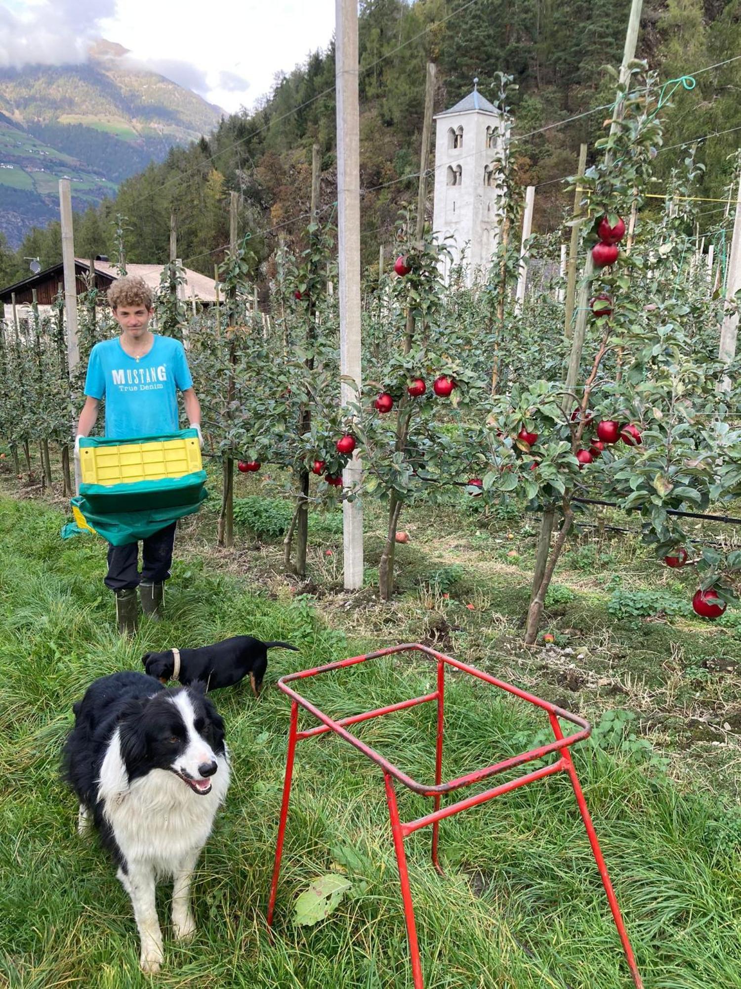 Ferienwohnungen Jojasa Latsch Buitenkant foto