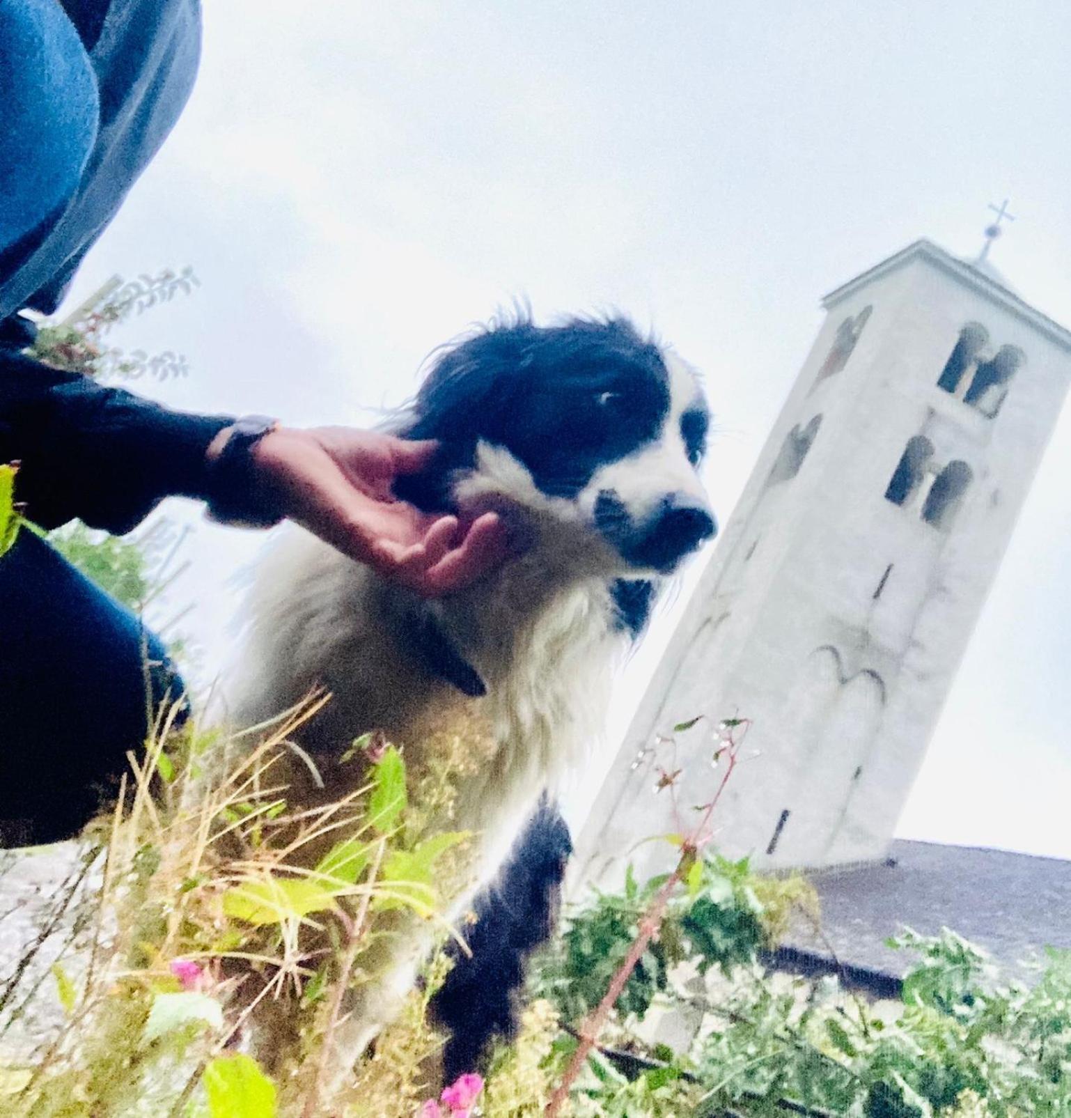 Ferienwohnungen Jojasa Latsch Buitenkant foto